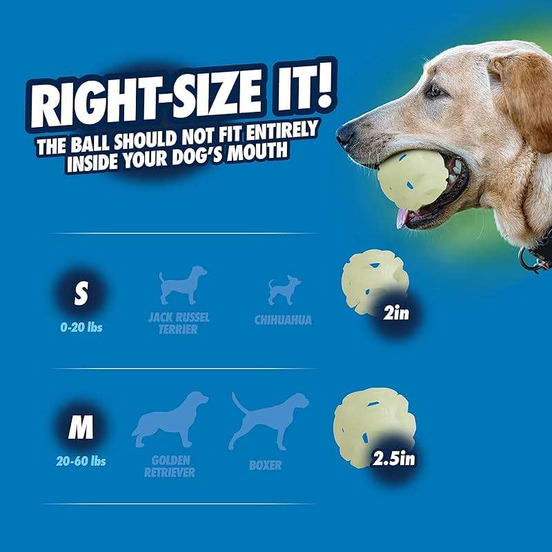 Chuckit! Air Glow Fetch Ball Dog Toy, Medium (2.5 Inch) Pack of 2, for Breeds 20-60 lbs - Image 5