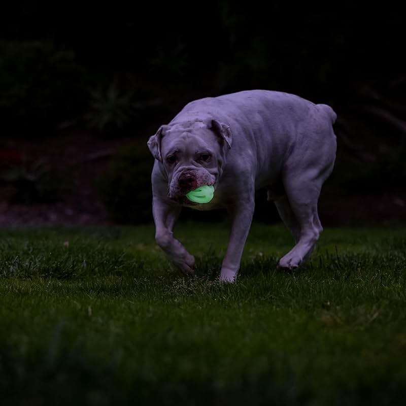 Chuckit! Air Glow Fetch Ball Dog Toy, Medium (2.5 Inch) Pack of 2, for Breeds 20-60 lbs - Image 7