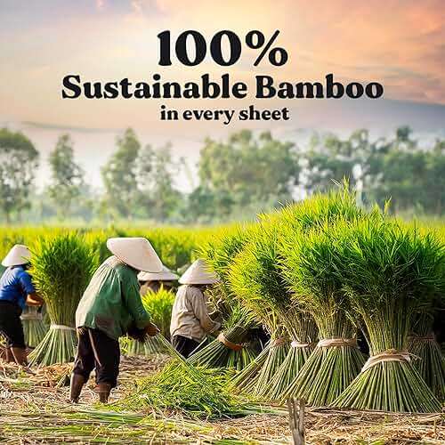 ZENO Organic Bamboo Toilet Paper 3 Ply - Sustainable Toilet Paper - 12 Jumbo Rolls & 350 Sheets Per Roll - Septic Safe - 100% Natural - PFAS & BPA Free - FSC Certified - Image 2