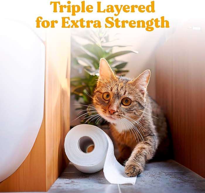 ZENO Organic Bamboo Toilet Paper 3 Ply - Sustainable Toilet Paper - 12 Jumbo Rolls & 350 Sheets Per Roll - Septic Safe - 100% Natural - PFAS & BPA Free - FSC Certified - Image 6