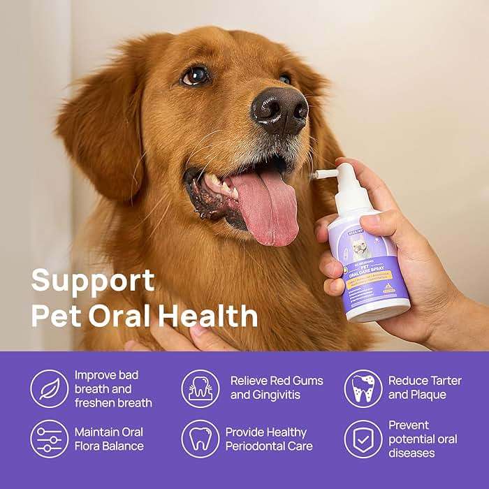 HICC PET Dog Dental Care Spray, Vet-Trusted Breath Freshener & Teeth Cleaning Spray, Eliminate Bad Breath, Support Healthy Gums, Help Reduce Plaque & Tartar, No Brushing, 5.1 Fl Oz - Image 2