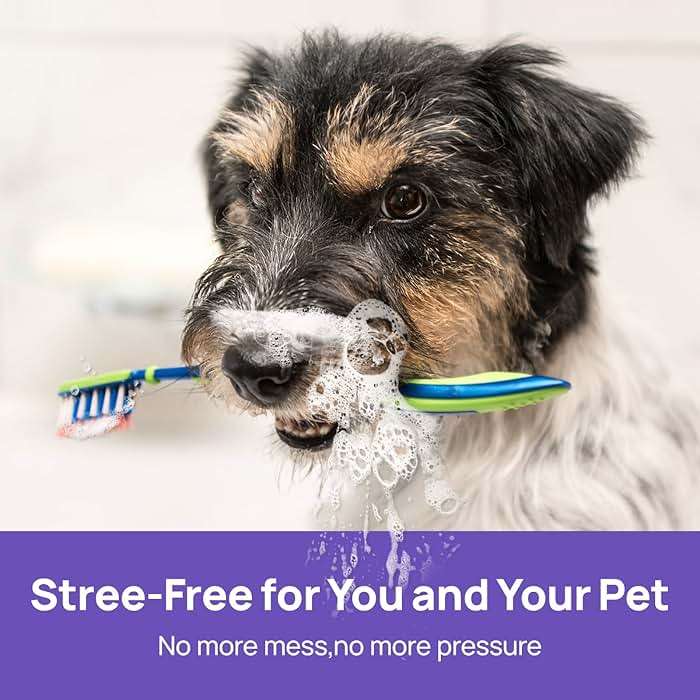 HICC PET Dog Dental Care Spray, Vet-Trusted Breath Freshener & Teeth Cleaning Spray, Eliminate Bad Breath, Support Healthy Gums, Help Reduce Plaque & Tartar, No Brushing, 5.1 Fl Oz - Image 6