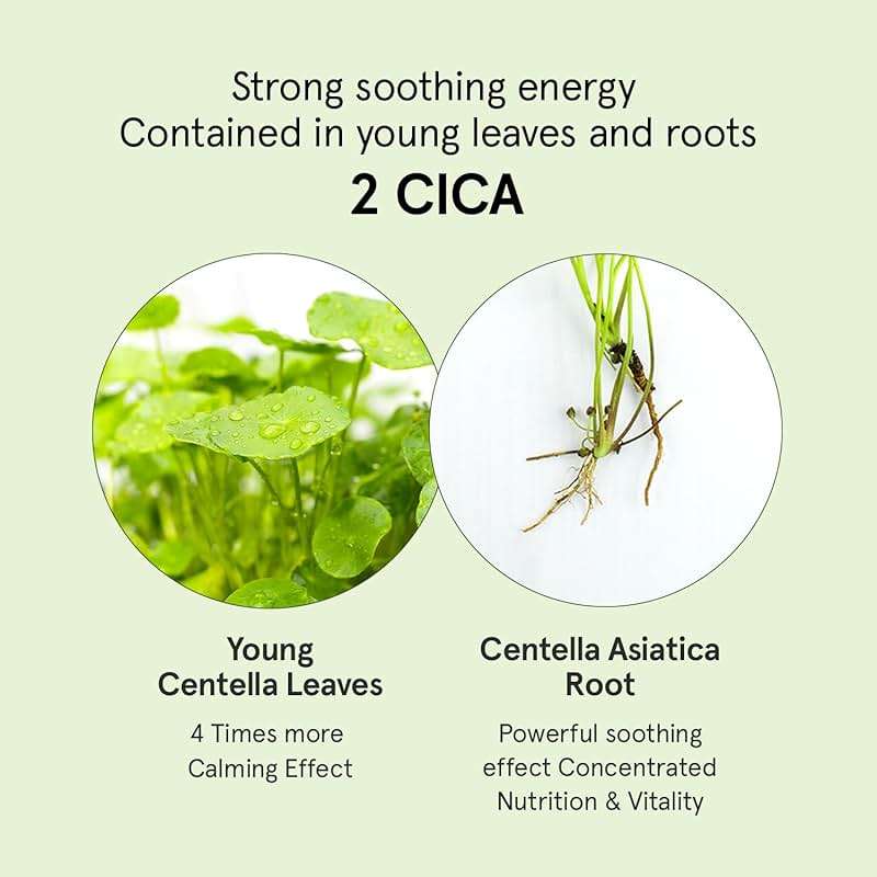 ONE THING CICA B5 Moisturizing Cream 2.36 fl.oz / 70ml | Korean Skincare, Ultimate Hydration and Barrier Strengthening for Sensitive Skin, Non-Greasy, Redness Relief - Image 5