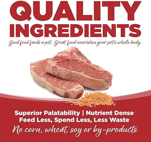 NutriSource Pure Vita Limited Ingredient Grain Free Dry Dog Food, Beef and Red Lentils, 12LB - Image 4