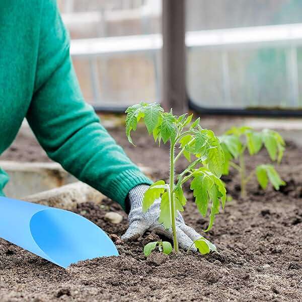 HARFINGTON Bonsai Soil Scoop 6.3" x 1.8" Plastic Colorful Mini Garden Shovel Cultivation Digging Transplanting Tools for Plant Flower Succulent Coffee Beans, Black - Image 5