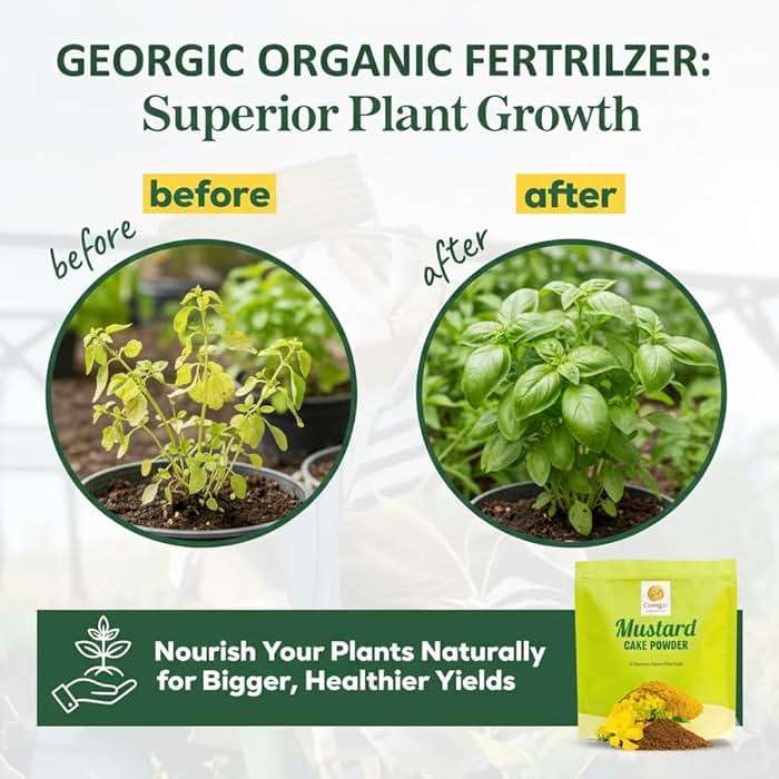 Mustard Oil Cake Powder All-Purpose Natural Fertilizers Concentrate for Flower, Vegetable, Herb, Fruit Tree | Pack of 3 - Image 3