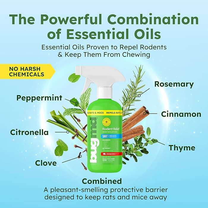 BugMD Peppermint Oil Spray for Rodents - 16oz Mouse Repellent & Rodent Repellent Spray, Natural Mice Repellent with Cinnamon, Clove, and Rosemary Oils - Safe Indoor & Outdoor Use - Image 2