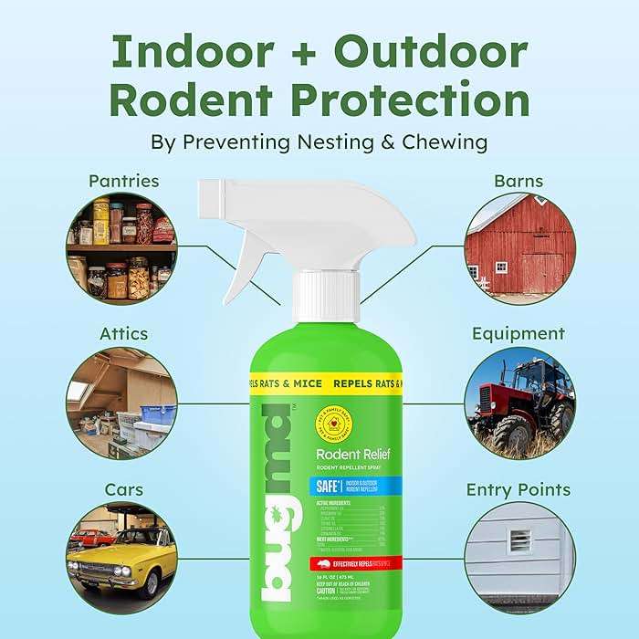 BugMD Peppermint Oil Spray for Rodents - 16oz Mouse Repellent & Rodent Repellent Spray, Natural Mice Repellent with Cinnamon, Clove, and Rosemary Oils - Safe Indoor & Outdoor Use - Image 3