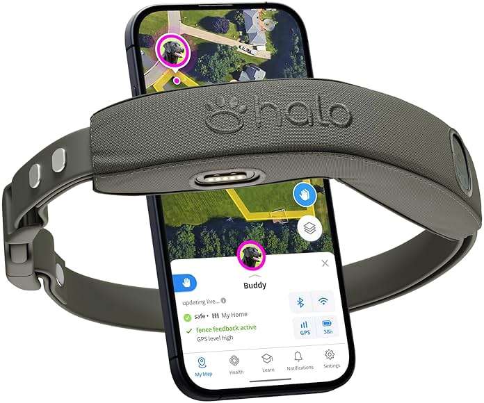 Halo Collar 4, GPS Wireless Dog Fence & Dog Training Collar with GPS Tracker, Subscription Required, Waterproof, Graphite, One Size - Image 1