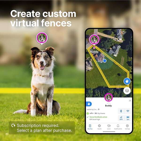 Halo Collar 4, GPS Wireless Dog Fence & Dog Training Collar with GPS Tracker, Subscription Required, Waterproof, Graphite, One Size - Image 3