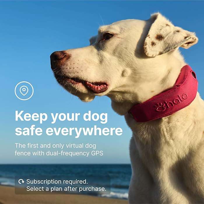 Halo Collar 4, GPS Wireless Dog Fence & Dog Training Collar with GPS Tracker, Subscription Required, Waterproof, Graphite, One Size - Image 4