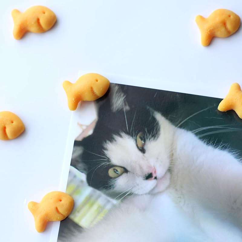 Goldfish Magnets, Set of 6 Pcs, Funny Fridge Magnets, Holdfish, Goldfish Crackers Lovers Gift Idea - Image 6