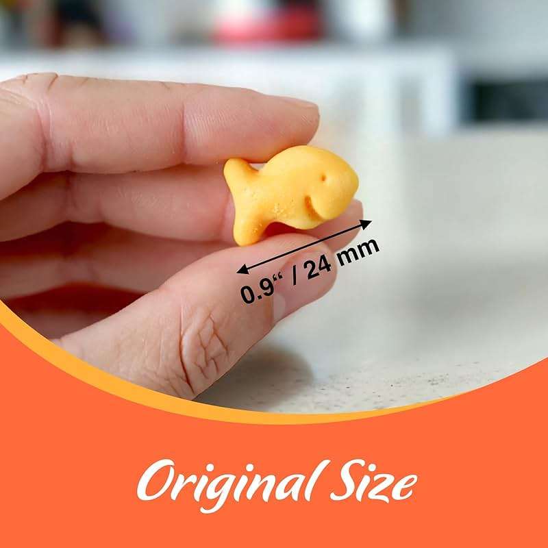 Goldfish Magnets, Set of 6 Pcs, Funny Fridge Magnets, Holdfish, Goldfish Crackers Lovers Gift Idea - Image 7