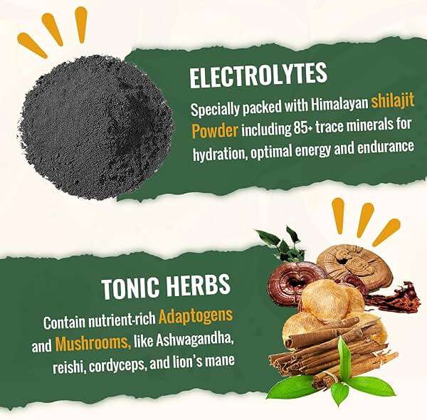 Super Greens Powder Superfood + Electrolytes & Tonic Herbs | Organic Greens, Shilajit, Adaptogens, Antioxidants, Preobiotic & Probiotic & Postbiotic| for Energy, Gut & Immune| Unflavored - 30 Servings - Image 5