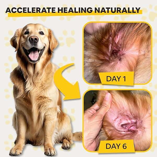 Dog Ear Infection Treatment – Natural Dog Ear Cleaner, Ear Infection Relief, and Skin Soothing for Pets with Plant-Based Ingredients - Image 4
