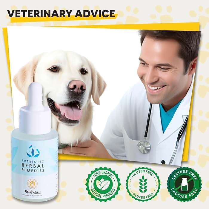 Dog Ear Infection Treatment – Natural Dog Ear Cleaner, Ear Infection Relief, and Skin Soothing for Pets with Plant-Based Ingredients - Image 7