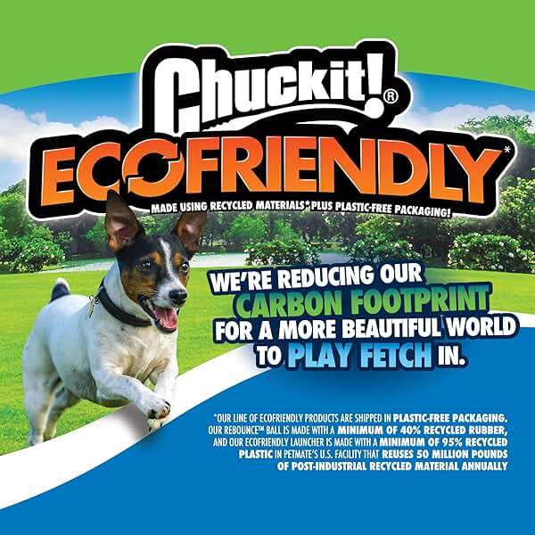 Chuckit! Limited Edition EcoFetch Ball Dog Toy, Medium (2.5 Inch Diameter) Pack of 3, for Breeds 20-60 lbs - Image 8