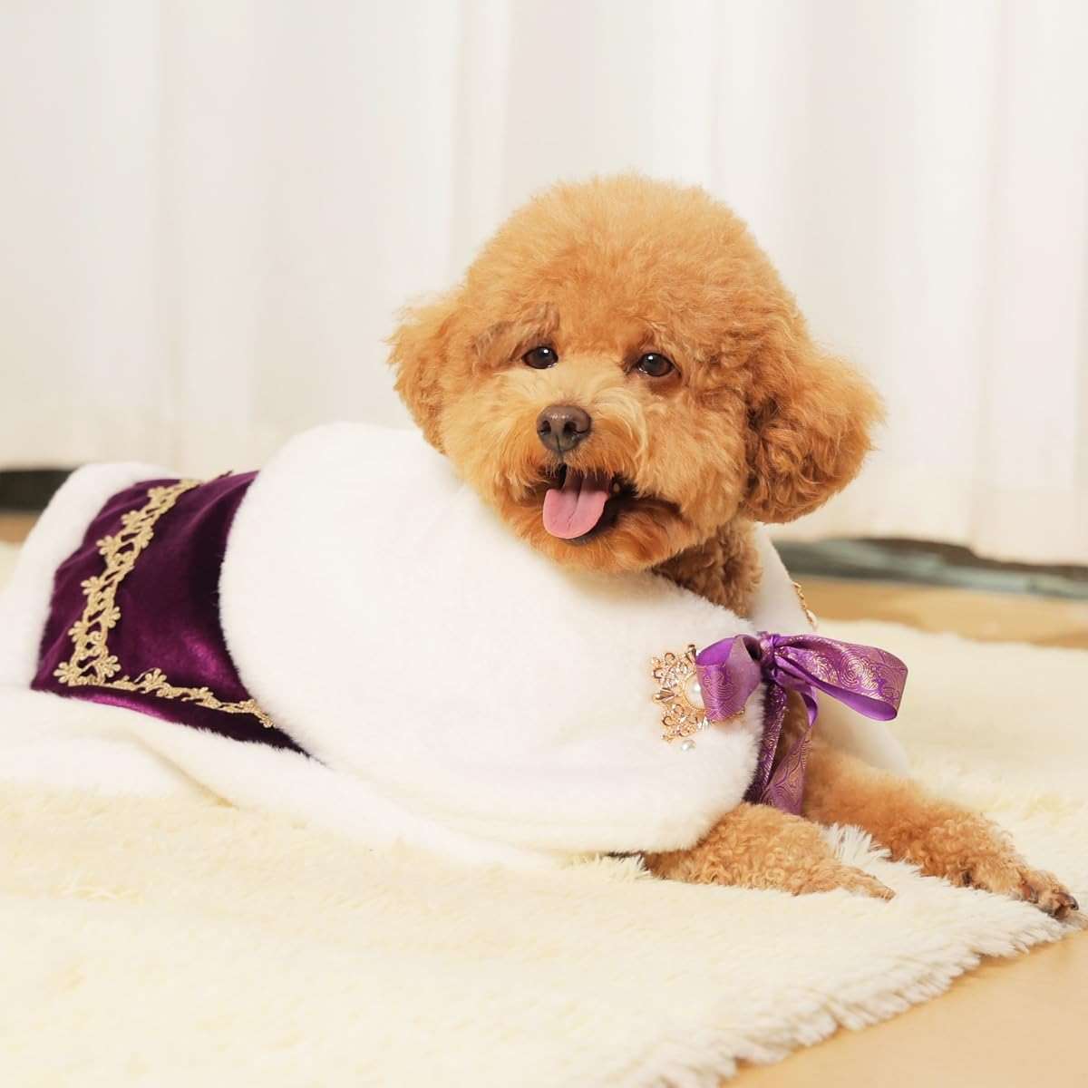 Lovelyshop pet Serial Royal Coronation Style White Faux Fur Pet Cape for Halloween Costumes, King Queen Prince and Princess Cosplay-Small - Image 2