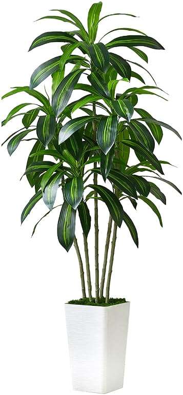 Artificial Dracaena Tree - 5FT Tall Fake Plants with White Tall Planter - Artificial Plants Indoor Floor Plant in Pot - Large Tropical Fake Yucca Potted Tree for Home Office Living Room Decor - Image 1