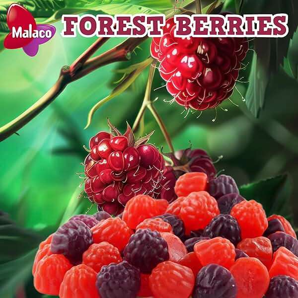 Swedish Candy Sweet Mix 1 POUND Gummy Candies With 8 Flavor Variety, BUBS Banana Toffee, Wild Berry Pomegranate, Ahlgrens Bilar Limousines, Malaco Fish, Forest Berries, Grandma’s Dentures Gummies, Cola Bottles & Zoo Monkey Gummies - Image 6