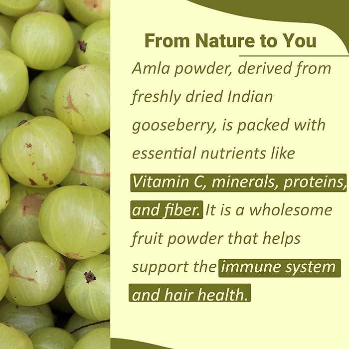 Mi Nature Amla Powder by mi nature| Amalaki or Indian Gooseberry |Vitamin C |454g (16 oz) | Non-GMO |Pure & natural | Raw, Vegan, Gluten-free | Made in India Preservatives free - Image 2