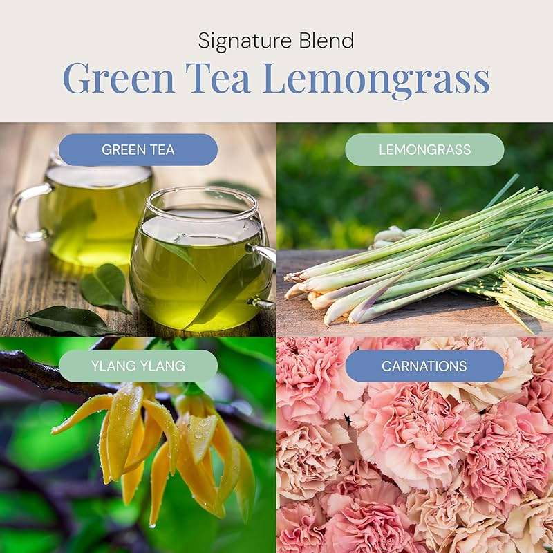 Green Tea & Lemongrass Aroma Oil, Essential Oils Blend for Diffusers & Scent Machines, Blend of Lemongrass & Leafy Greens, Aromatherapy, Cold Air Diffuser Compatible, 100 mL - Image 3