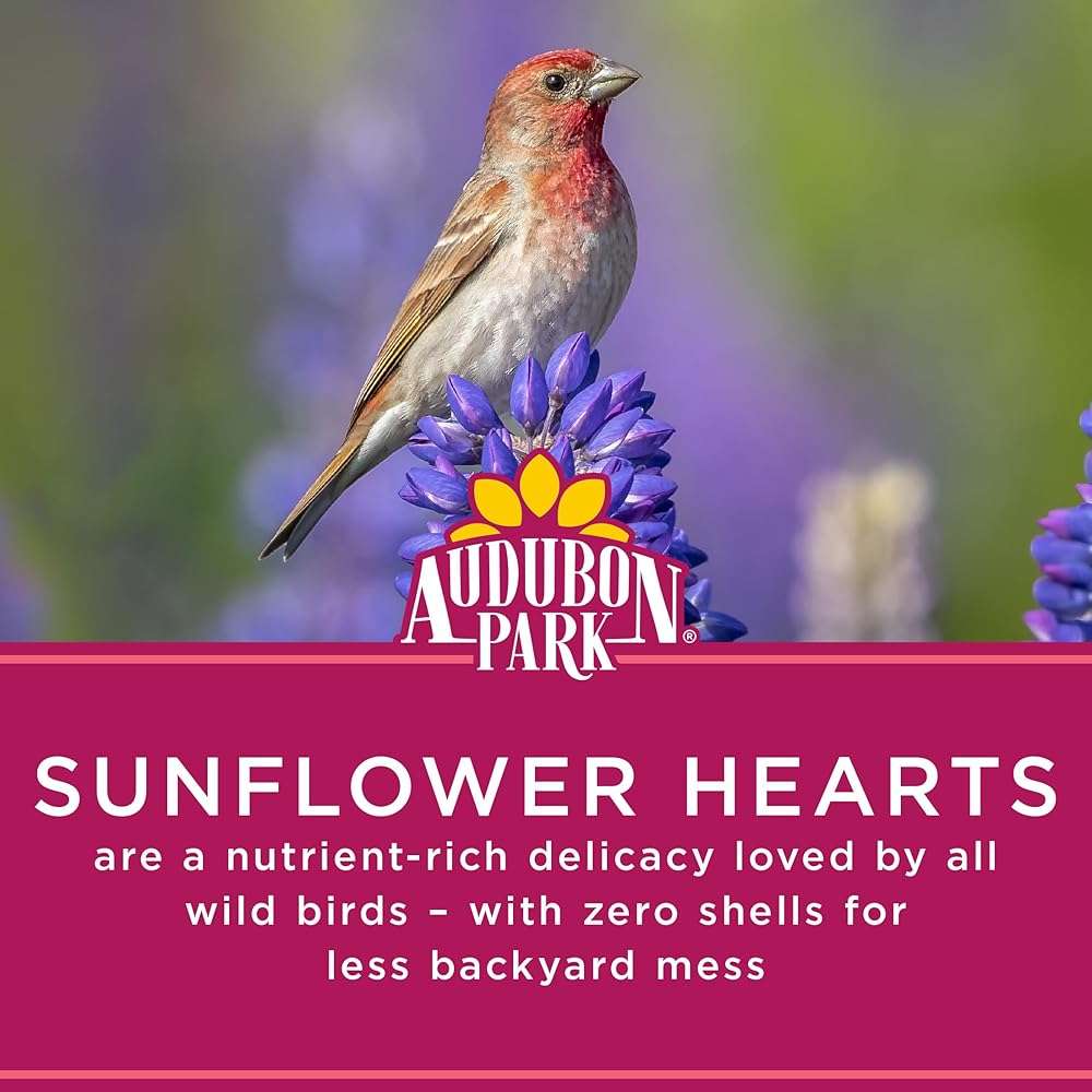 Audubon Park Sunflower Hearts Wild Bird Seed for Outside Feeders, 15-lb. Bag - Image 5