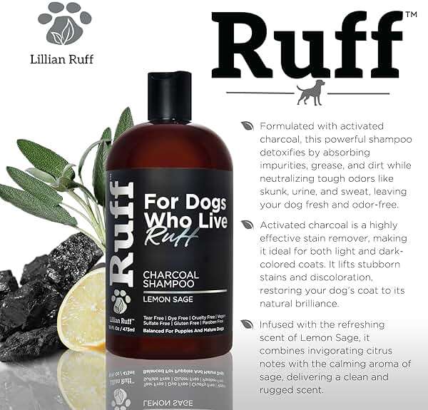Ruff by Lillian Ruff Activated Charcoal Pet Shampoo – Deep Cleanser, Deodorizer, Stain Remover – Lemon Sage Scent, pH Balanced, Hydrate Dry Itchy Skin – Safe for Puppies & Mature Dogs - Image 3