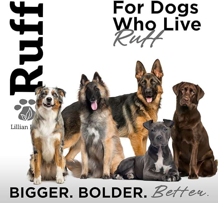 Ruff by Lillian Ruff Activated Charcoal Pet Shampoo – Deep Cleanser, Deodorizer, Stain Remover – Lemon Sage Scent, pH Balanced, Hydrate Dry Itchy Skin – Safe for Puppies & Mature Dogs - Image 8