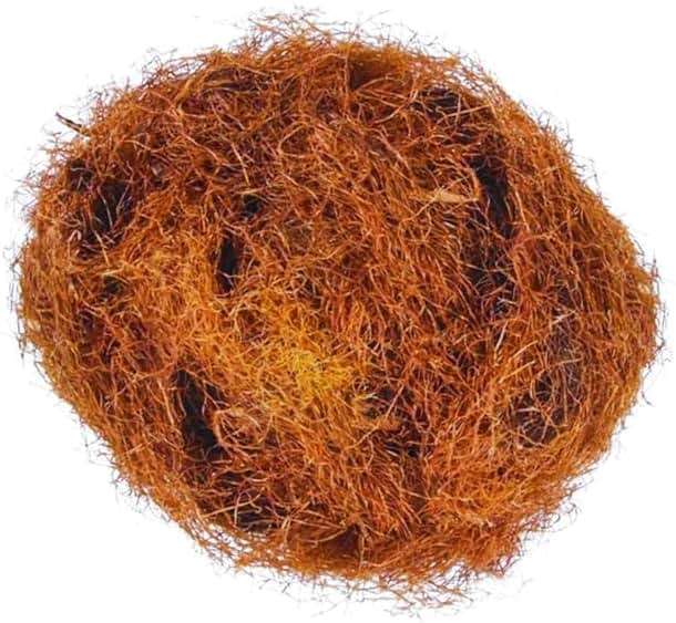 Barbas de Elote Herbal Tea (Cornsilk Tea) – 4 oz Loose Leaf – 100% All-Natural, Wildcrafted, Non-GMO, Gluten-Free – Authentic Mexican Herbal Tea – Preservative-Free – Imported from Mexico – By BexpertsUSA - Image 3