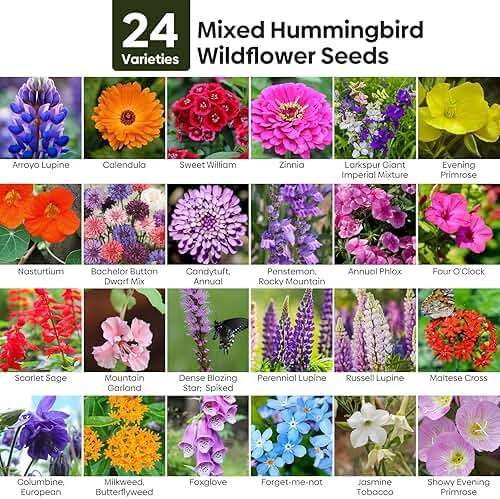 Groundio Wildflower Seeds Mix 25,000+, 24 Varieties Perennial & Annual Seeds,1 Oz, for Hummingbirds and Butterflies, High Germination Flower Seeds Throw and Grow to Plant Outside, No Filler - Image 2