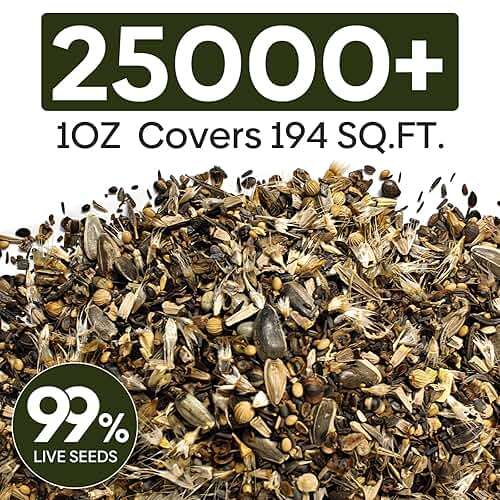 Groundio Wildflower Seeds Mix 25,000+, 24 Varieties Perennial & Annual Seeds,1 Oz, for Hummingbirds and Butterflies, High Germination Flower Seeds Throw and Grow to Plant Outside, No Filler - Image 3