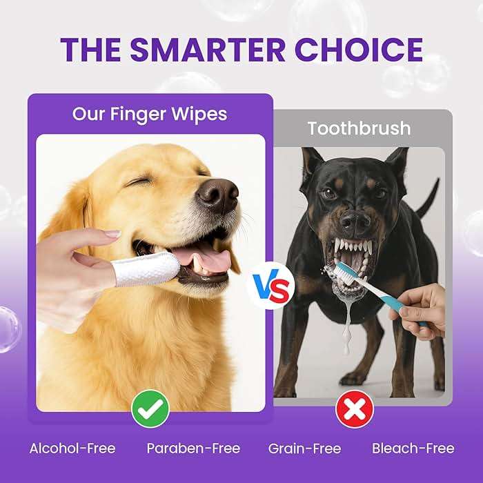 No-Rinse Dog Dental Care Wipes, Cat & Dog tooth brushing kit, Dog Wipes for Pet & Cat Teeth Cleaning, Dog toothbrush Finger Dental Wipes to Remove Plaque & Tartar, Disposable Dog Wipes - 50 Count - Image 3