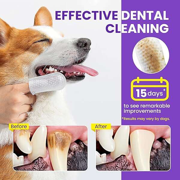 No-Rinse Dog Dental Care Wipes, Cat & Dog tooth brushing kit, Dog Wipes for Pet & Cat Teeth Cleaning, Dog toothbrush Finger Dental Wipes to Remove Plaque & Tartar, Disposable Dog Wipes - 50 Count - Image 5