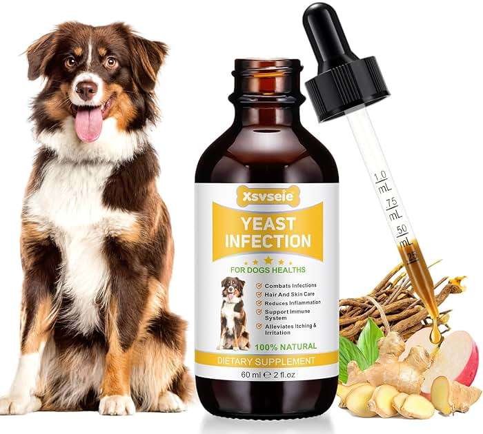 Yeast Infection Treatment for Dogs, Xsvseie Dog Ear Infection Treatment Natural Yeast Treatment Drops for Dogs,Dog Herbal Supplement Soothing Irritation & Itching Discomfort for All Breeds & Size - Image 1