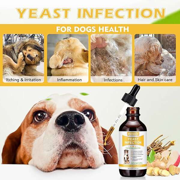 Yeast Infection Treatment for Dogs, Xsvseie Dog Ear Infection Treatment Natural Yeast Treatment Drops for Dogs,Dog Herbal Supplement Soothing Irritation & Itching Discomfort for All Breeds & Size - Image 2