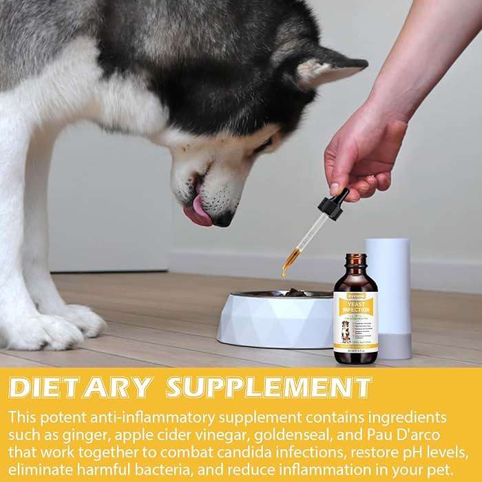 Yeast Infection Treatment for Dogs, Xsvseie Dog Ear Infection Treatment Natural Yeast Treatment Drops for Dogs,Dog Herbal Supplement Soothing Irritation & Itching Discomfort for All Breeds & Size - Image 6