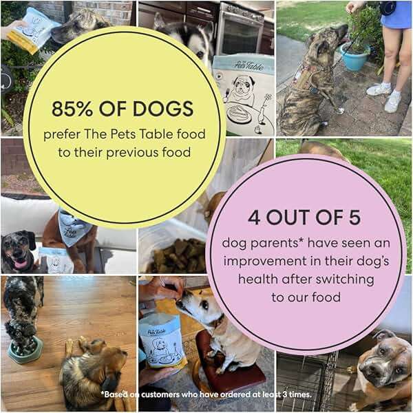 The Pets Table Chicken & Sweet Potato Air Dried Dog Food, 1 lb / 16 oz Bag - Image 7