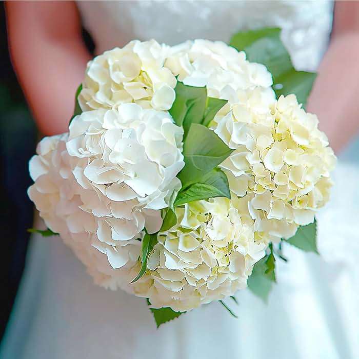 Auihiay 304PCS Hydrangea Artificial Flowers Bulk, Silk Artificial Hydrangea Flowers Heads with Stems, Faux Hydrangea Flowers for Home Table Centerpieces Wedding Arch Party Decoration (Champagne) - Image 8