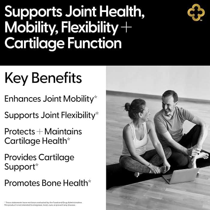 Campio All-In-1 Joint Support Supplement: Glucosamine 1500mg Chondroitin MSM Turmeric Hyaluronic Acid Boswellia Ginger Bamboo BioPerine Supports Joints, Bones, Back, Knees & Hands Flexibility 90 Count - Image 2
