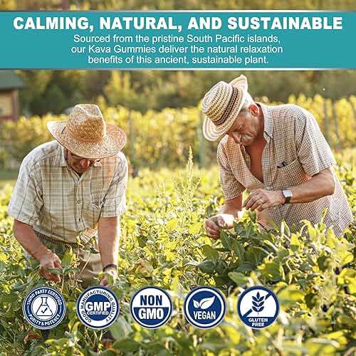 2Pack Kava Kava Gummies + Ashwagandha + L-Theanine + GABA + Rhodiola Rosea, Sugar Free Calm Gummies Melatonin-Free Kava Blend for Relaxation, Mood & Focus - Alternative to Kava Powder Capsules, Vegan - Image 8