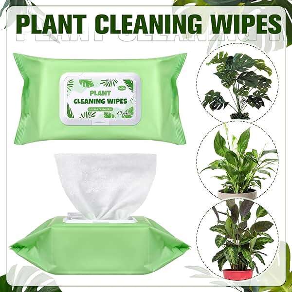 Swiffen 4 Pack 320 Ct Plant Leaf Cleaning Wipes for Leaf Shine Gentle Based Wipes for Shiny Leaves Remove Dust and Better Photosynthesis Unscented Extra Thick Waffle Weave Wipe for House Outdoor Plant - Image 2