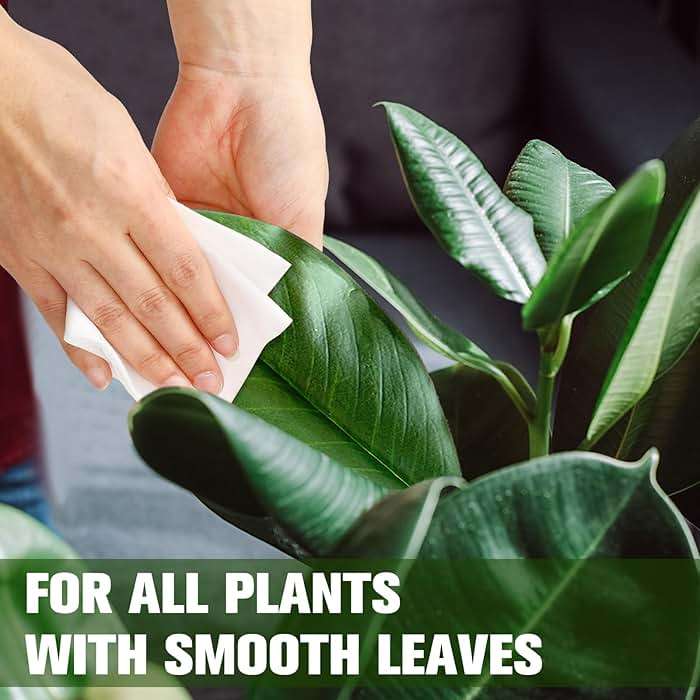 Swiffen 4 Pack 320 Ct Plant Leaf Cleaning Wipes for Leaf Shine Gentle Based Wipes for Shiny Leaves Remove Dust and Better Photosynthesis Unscented Extra Thick Waffle Weave Wipe for House Outdoor Plant - Image 6