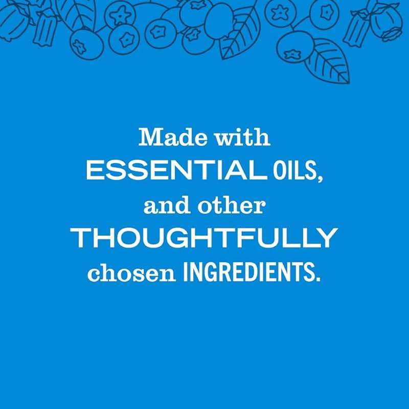 MRS. MEYER'S CLEAN DAY Hand Soap, Blueberry Scent, 12.5 Fl Oz Bottle - Image 5