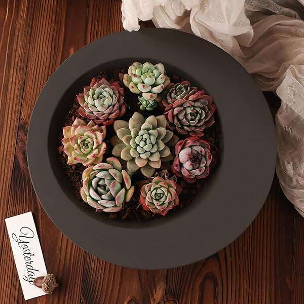 Wehous Large Round Container Mold, Silicone Irregular Bowl Storage Resin Concrete Molds, Candle Holder Succulent Planter Jewelry Trinket Tray Plate Mold DIY Epoxy Resin Casting Plaster Cement Decor - Image 6
