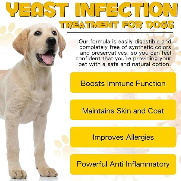 VOSIFSDIY Yeast Infection Treatment for Dogs, Natural Dog Yeast Infection Treatment Supports Itch Relief, Ear Infection, Allergy Relief, Pet Supplies Dog Herbal Supplement, Bacon Flavor - Image 2