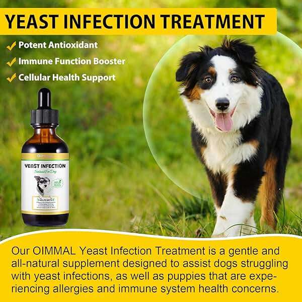 VOSIFSDIY Yeast Infection Treatment for Dogs, Natural Dog Yeast Infection Treatment Supports Itch Relief, Ear Infection, Allergy Relief, Pet Supplies Dog Herbal Supplement, Bacon Flavor - Image 9