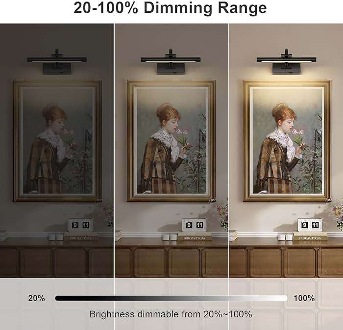 DESOOP Battery Operated Picture Lights for Wall Black Art Light Wireless Gallery Lights with Timer and Remote 12 Inch 2W Warm White - Image 2