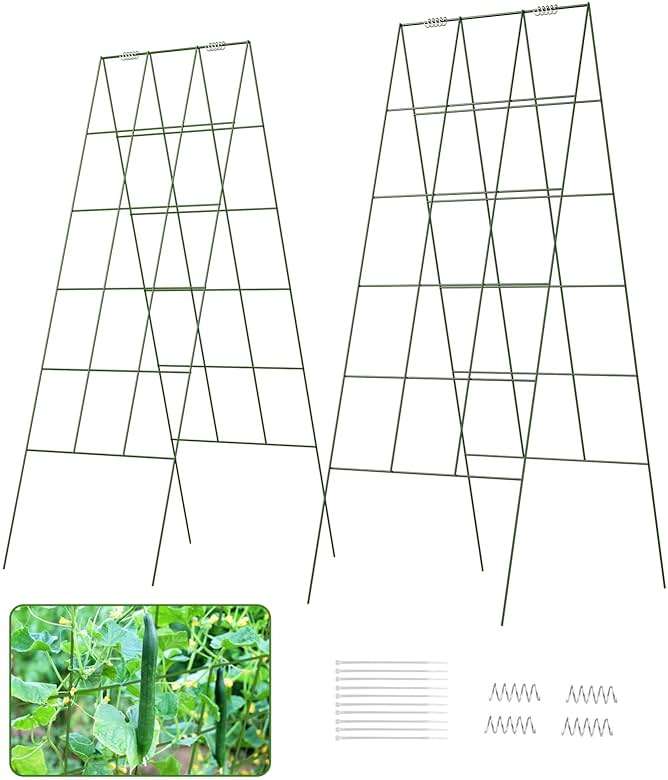 DOEWORKS Cucumber Trellis, 48" High Foldable A Frame Garden Trellis, 2 Pack, Plant Support for Climbing Cucumber, Beans, Tomatoes, Flowers, Green - Image 6