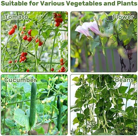 DOEWORKS Cucumber Trellis, 48" High Foldable A Frame Garden Trellis, 2 Pack, Plant Support for Climbing Cucumber, Beans, Tomatoes, Flowers, Green - Image 7